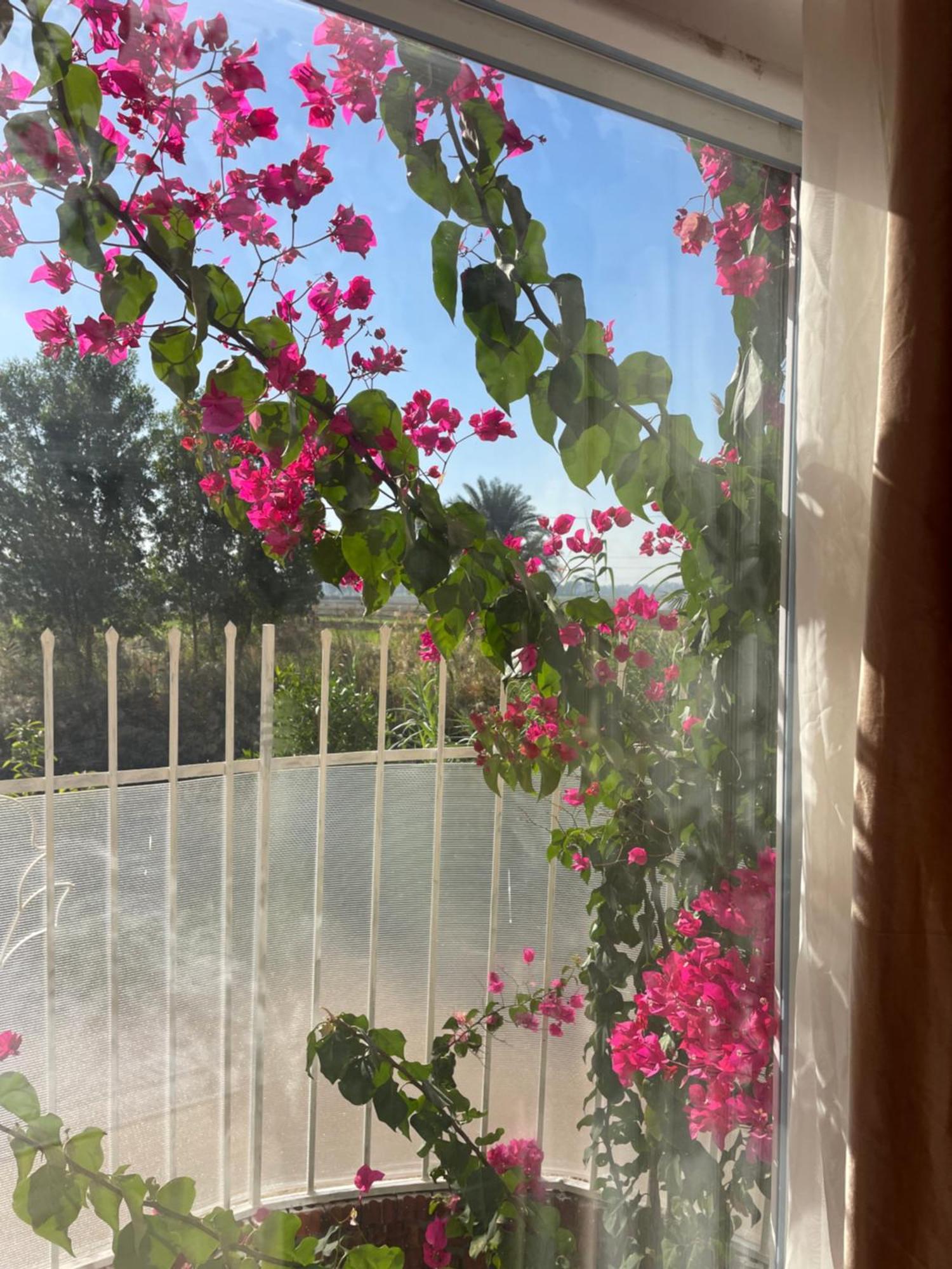 Karima House Hotell Luxor Exteriör bild